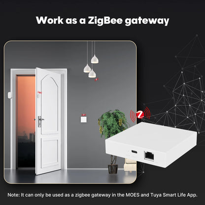 Matter Thread Smart Home Hub